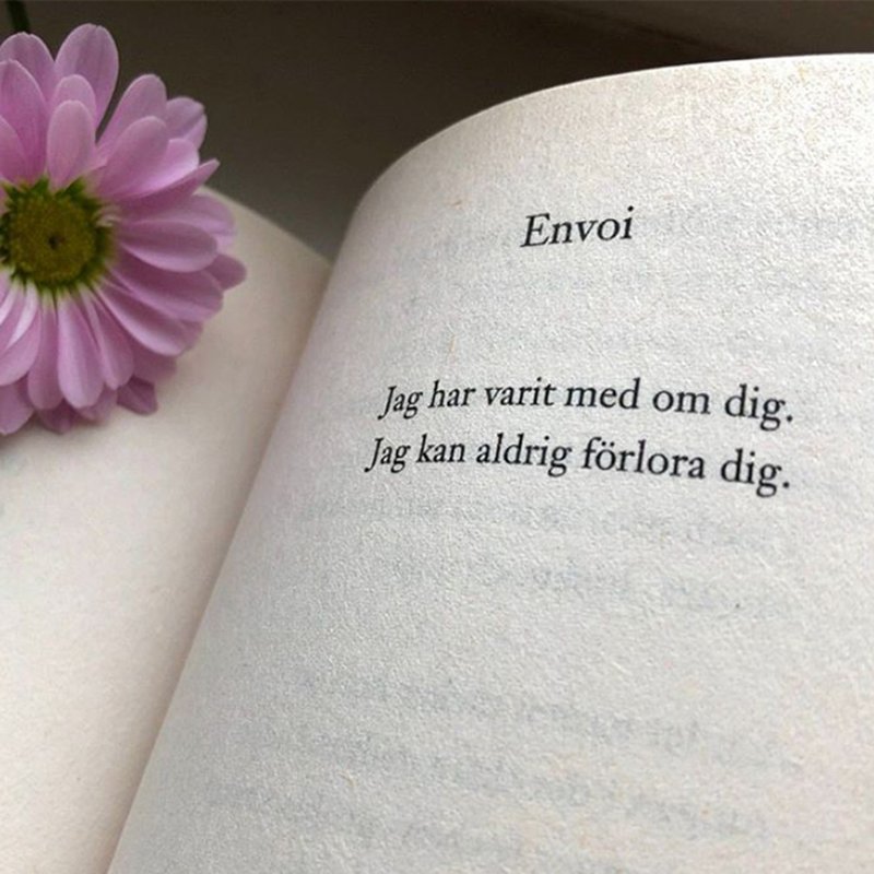 8 starka diktsamlingar att återvända till
