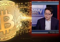 Crypto analyst Tom Lee: Bitcoin is a safe haven for investors – here is why