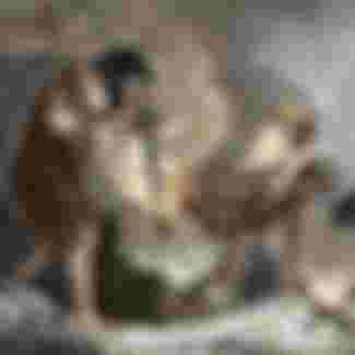 Print of early humans making fire.