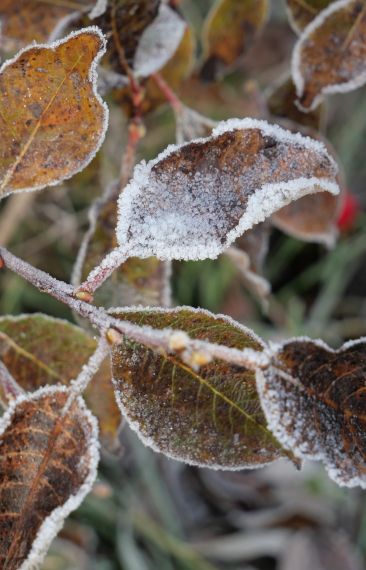 I Hebas hyreslägenheter Smedjan i Källberga bor du nära naturen