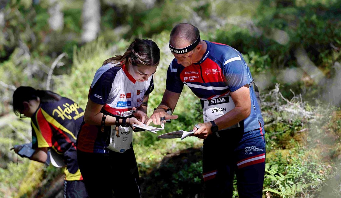 Beslutat: De får CIF:s forskningsbidrag