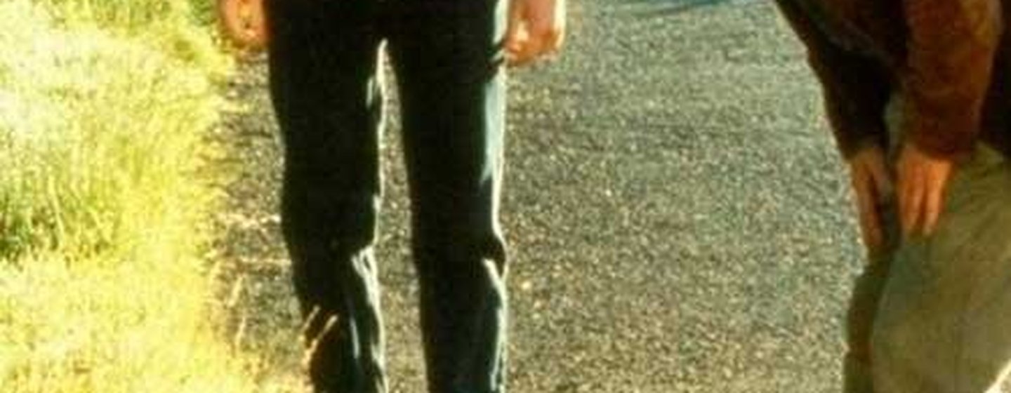 All the Little Animals