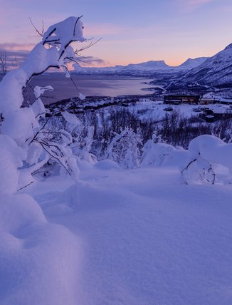 Björkliden: A Mountain Village and Lapporten During the Polar Night