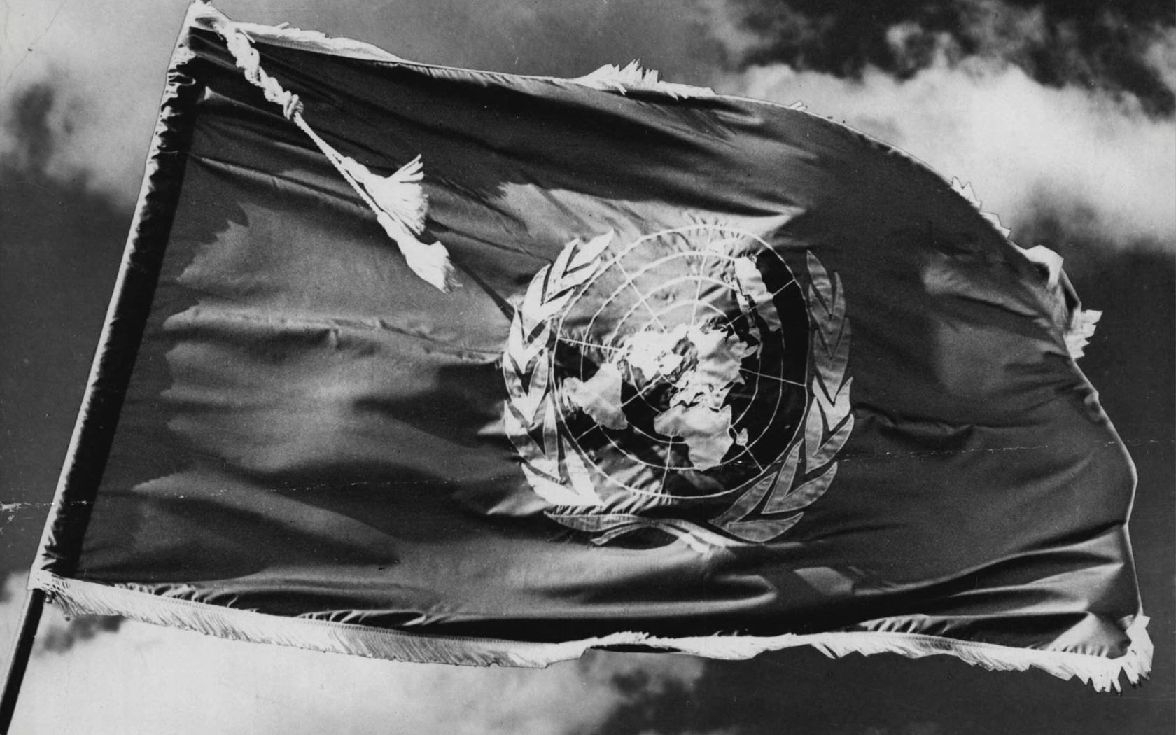 The flag of the United Nations.
