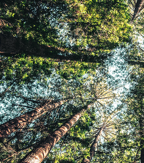 Barkarbystaden har ett fint läge alldeles intill Västra Järvafältets naturreservat med åkrar, ängar, sjöar och skog. Här finns det gott om härliga promenad- jogging- och cykelvägar
