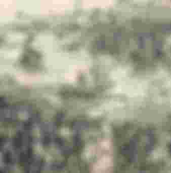 Renaissance-era woodcut of King Louis IX of France and his army disembarking at Damietta, Egypt, in 1249. In a common anachronism, the army and fleet are equipped with cannons.