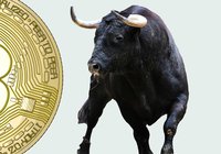 Bitcoin rallies past $10,000 – has increased seven percent in the last 24 hours