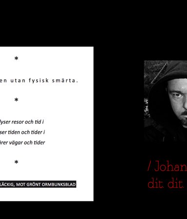 Johan Jönson skriver kommande generationers klassiker