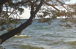Ny nationalpark på Gotland?