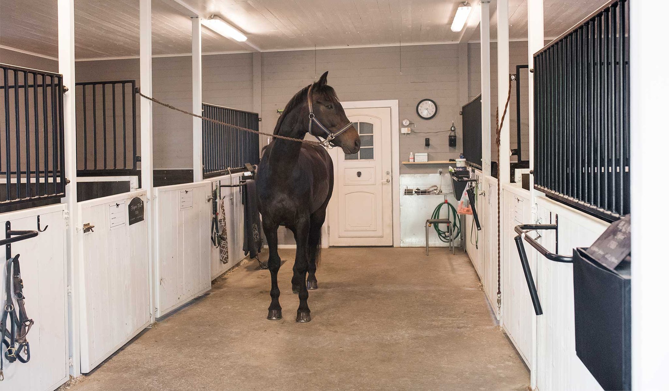 Rött stall med fyra boxar
