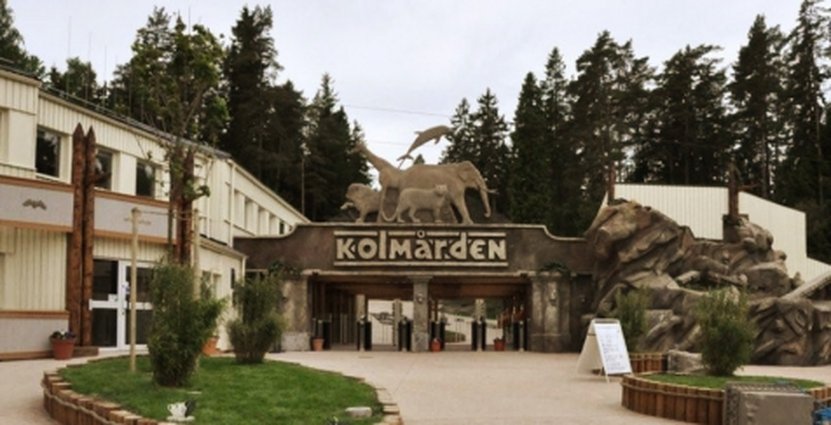 Julplaner i mellansäsong på Kolmården. 