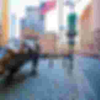 The Wall Street Bull in Downtown Manhattan, NYC.