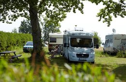 Campingföretagen: ”Splittrad sommar”