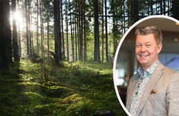 De byter ut konferenserna mot skogsupplevelser