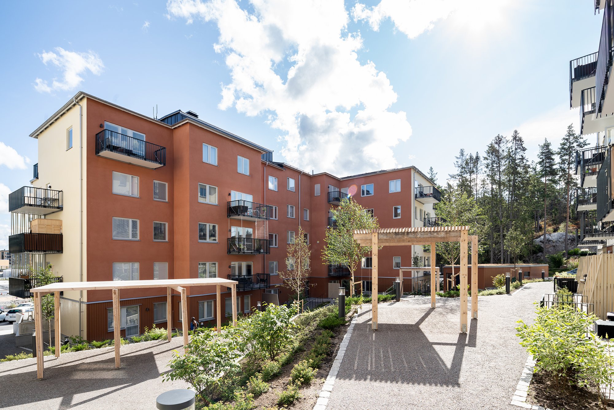 Skogsstjärnan, bild 3 av 7