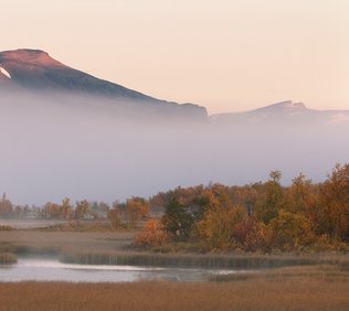 Naturfoto höst i Kiruna med Scandinavian Photoadventures