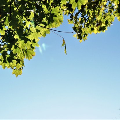 Verksamhetsanalys och kravhantering för nytt affärssystem