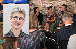Dalarna vill göra landsbygden hörd i Almedalen