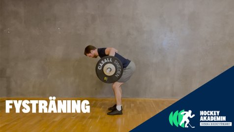 Fysövning: Skivstångsrodd