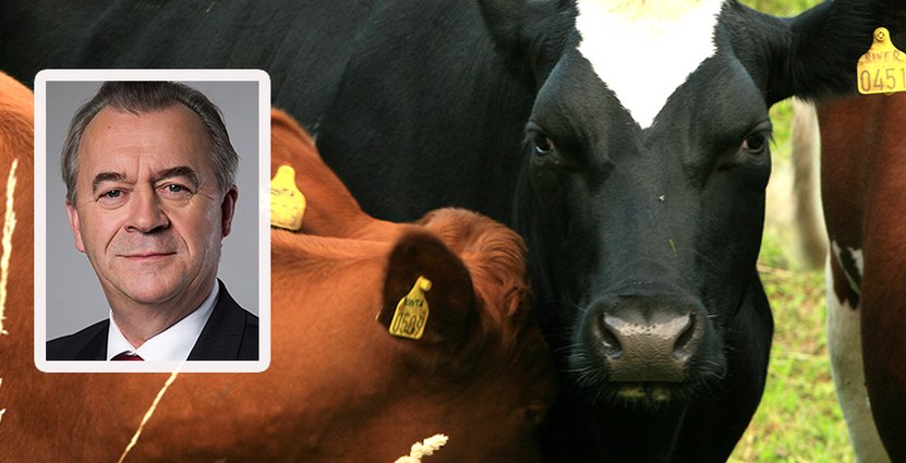 Landsbyggsminister Sven-Erik Bucht vill förtydliga informationen<br />
 om köttets ursprung på restauranger. Foto: Regeringen, Colourbox