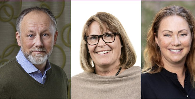 Jonas Siljhammar, Karin Johansson och Susanne Andersson Pripp. Visita, Björn Mattisson, Peter Jönsson