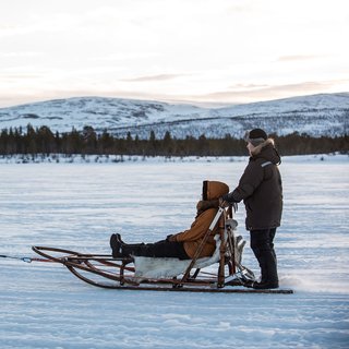 Hundspann i Kiruna med Husky Home