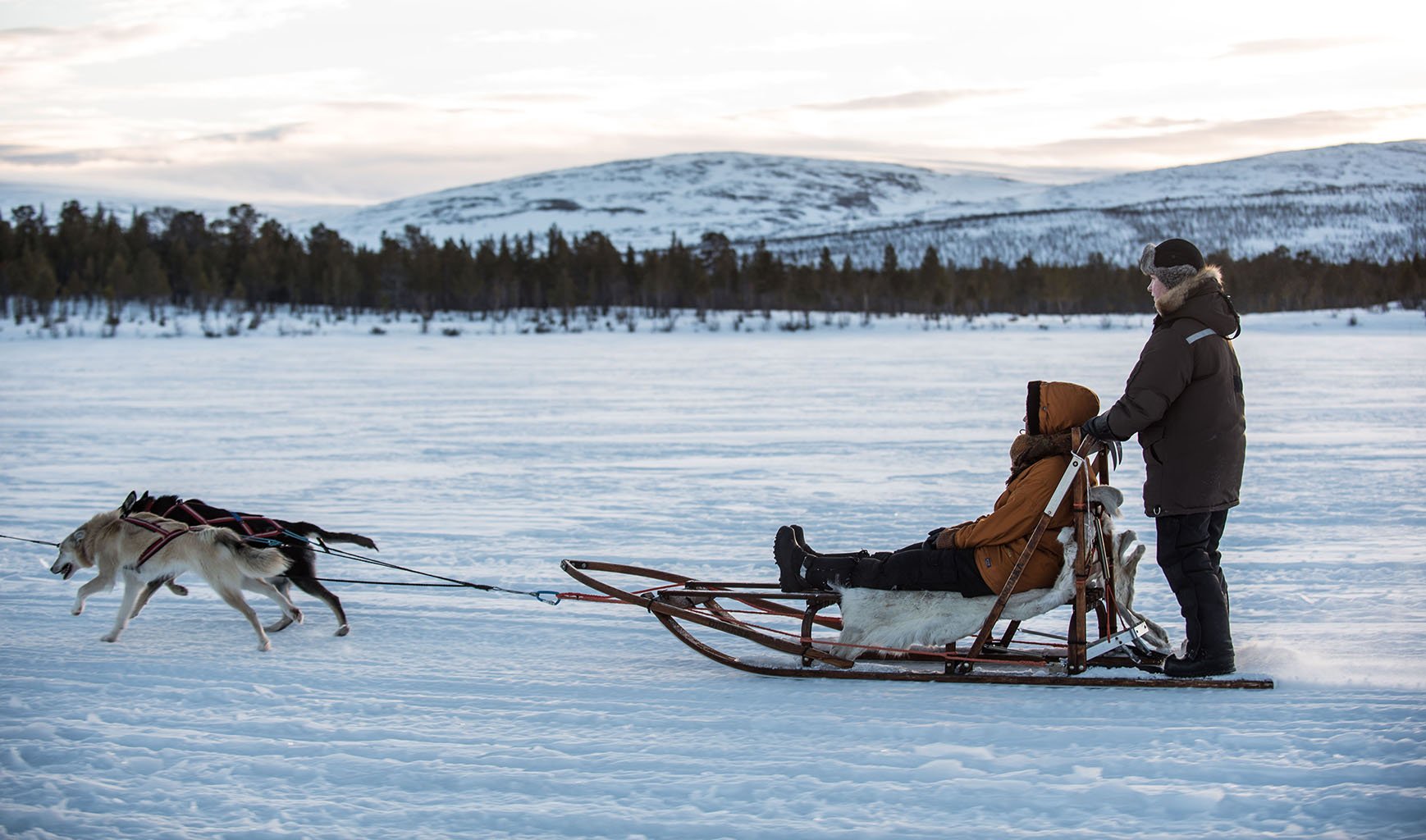 Hundspann i Kiruna med Husky Home