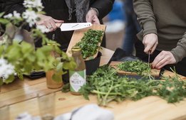 Bättre hållbarhetskommunikation ska hjälpa företag i besöksnäringen