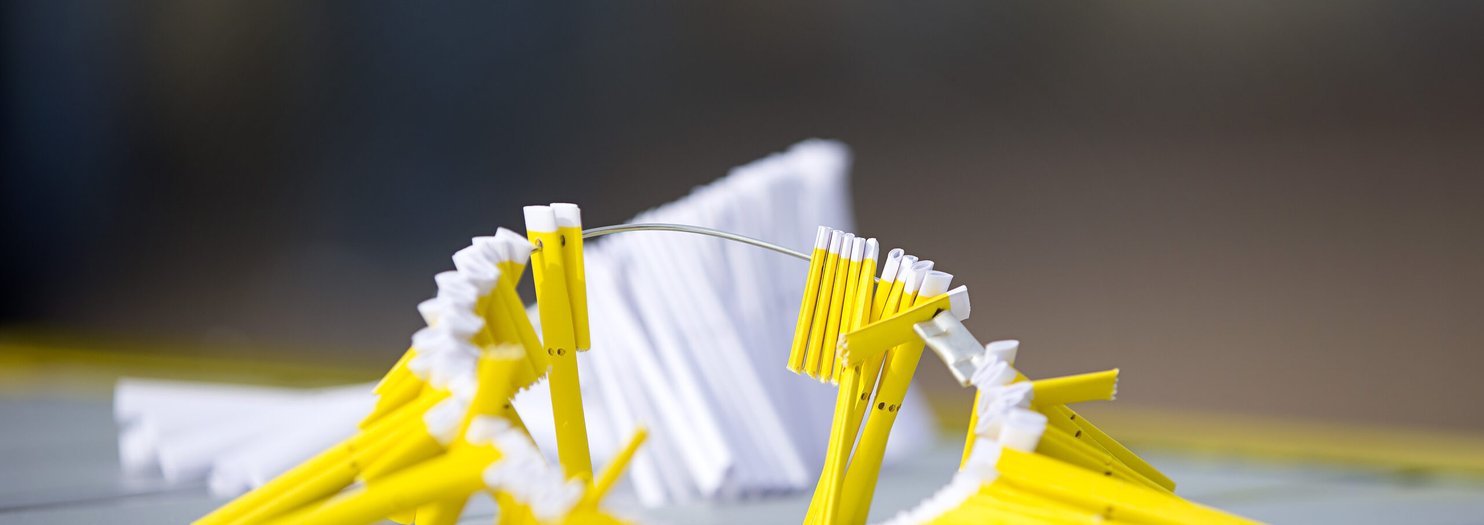 Gula lotter i en ring ligger på bord.