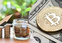 Crypto fund up almost 300 percent – outperforms Wall Street by far