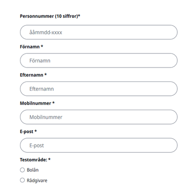 Bild formulär_1