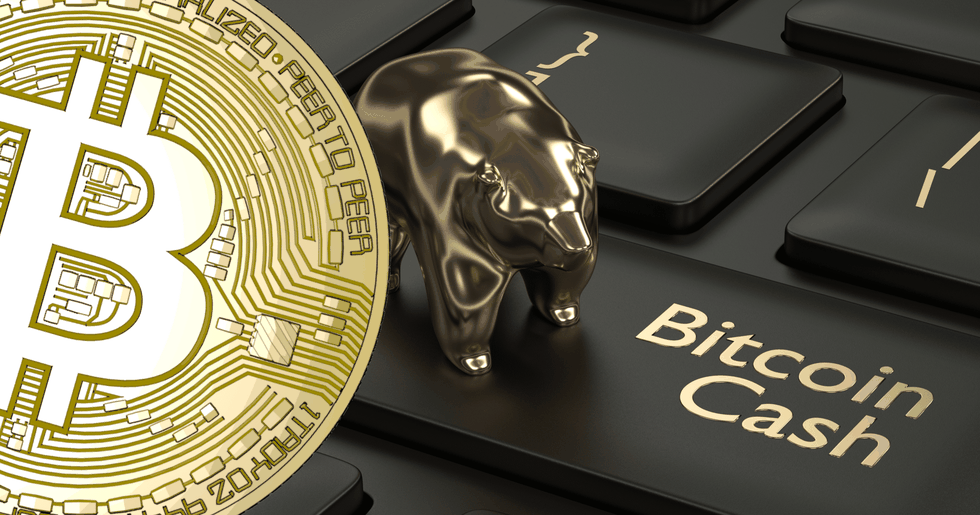 Bitcoin cash går mot strömmen när de största kryptovalutorna visar röda siffror.