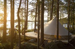 95 procent utländska gäster – så ställde naturturismföretaget om
