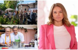 Visita tar plats i Almedalen