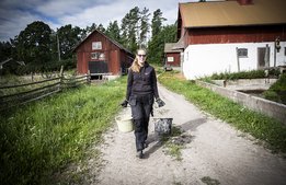 För djuren, naturen och människorna