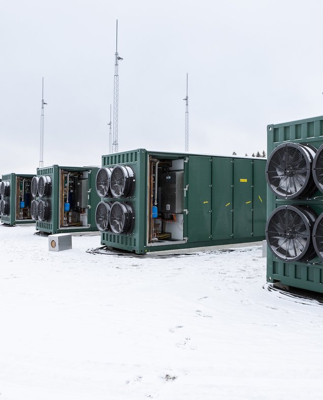 Flower, flexibility, dot com boom