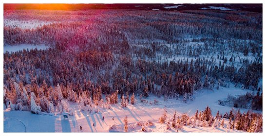 Premiär för Säfsens största satsning