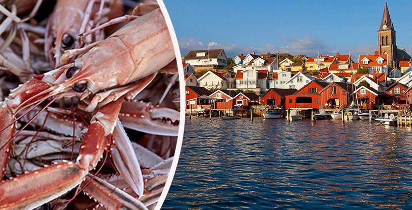 De långsiktiga målen med Ett enat Bohuslän är att till 2025 gå från 3-4 miljoner gästnätter på hotell, stugbyar, vandrarhem och campingar, och från 6000 – 7500 helårsjobb. Foto: Ett enat Bohuslän