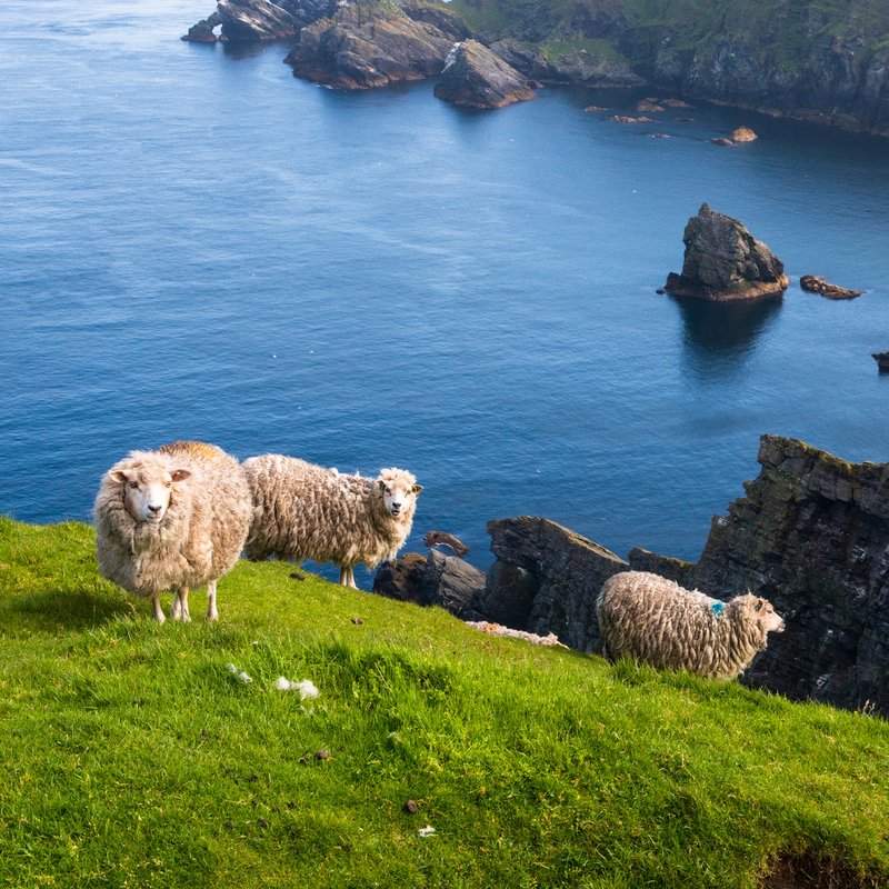 6 fantastiska romaner som utspelar sig i Skottland