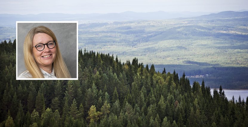 Mia Landin, vd Visit Värmland. Foto: Pressbild