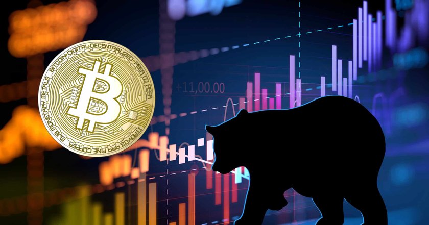 Här är kryptoinvesterarnas bästa tips för att klara av den nuvarande björnmarknaden