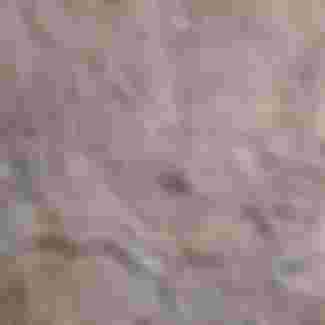 Stone relief from the palace of Ashurbanipal