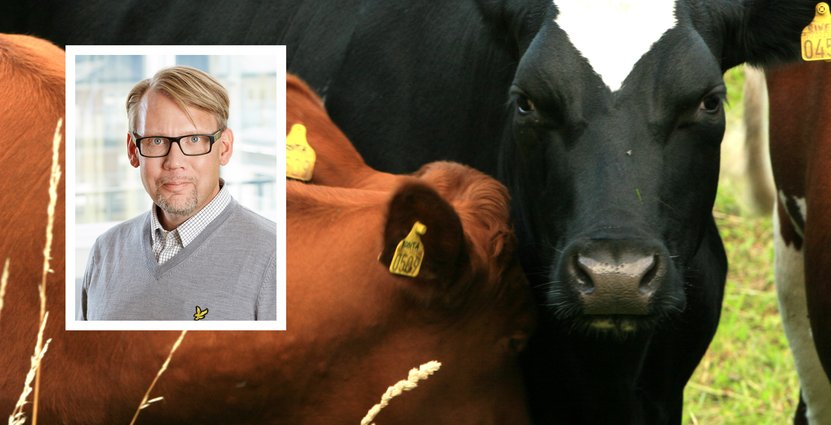 En lagstiftning om ursprungsmärkning på restaurang vore helt fel väg att gå, menar Visitas chefsjurist Stefan Lundin. Foto: Visita, Colourbox