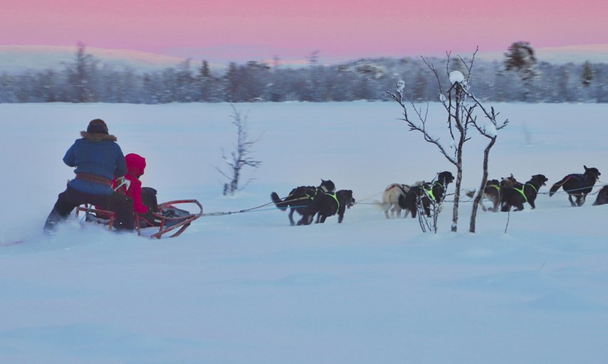 Husky dreams lunchtur