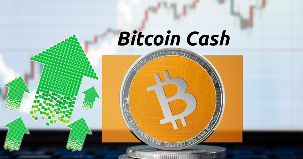 Daily crypto: Bitcoin cash continues to rally on otherwise stagnant markets.