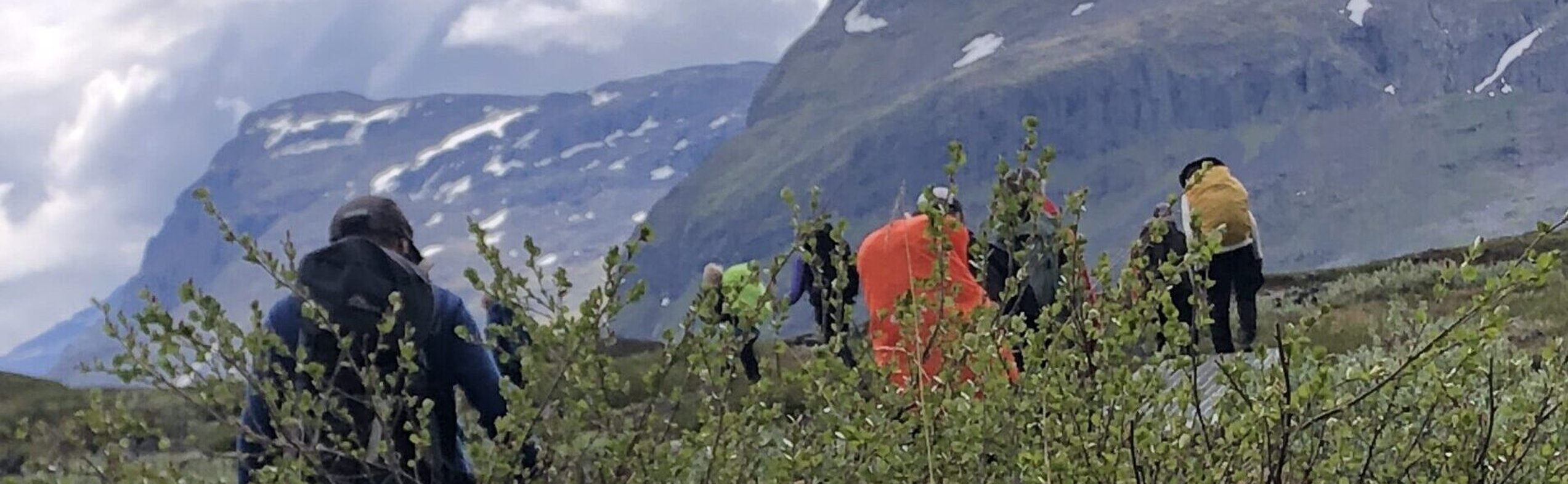 Summer Hiking in Abisko National Park – Swedish Lapland