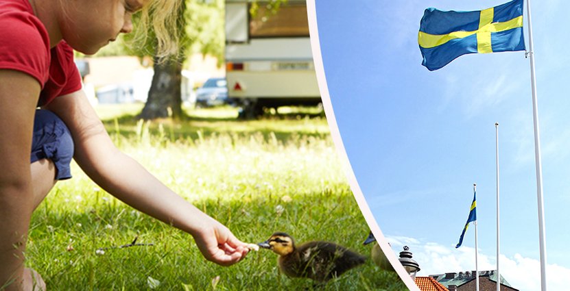 Digitaliseringen är en av de stora utmaningar som Svensk Turism står inför. Foto: Svensk Turism, Colourbox