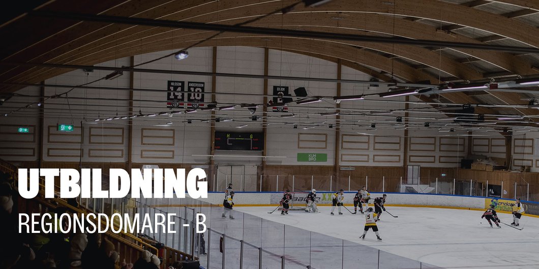 Utbildning - Regionsdomare B