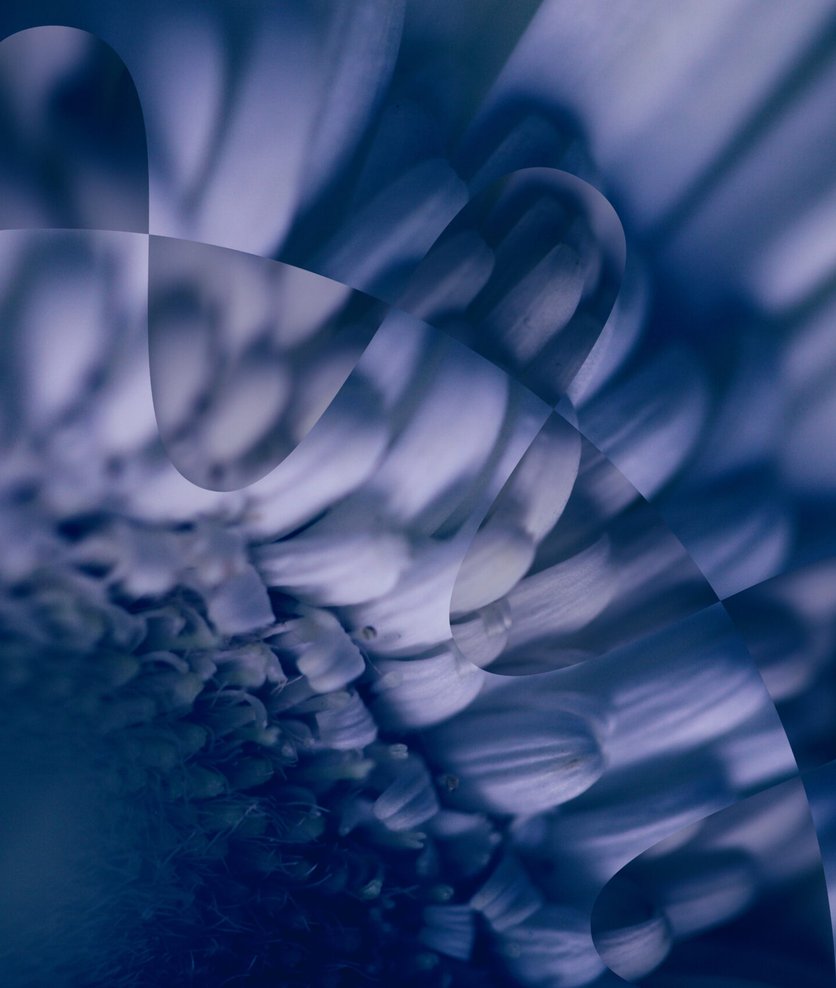 Flower Publishes First Quarter Report 2026