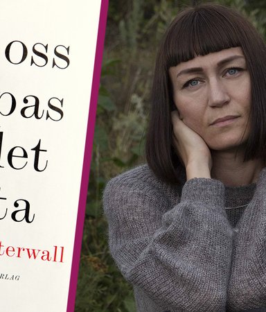 Den stora förlusten blev litteratur: 